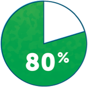 80 percent icon