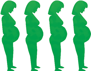 4 of 4 pregnant women icon