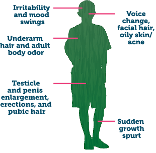 Signs and symptoms of puberty in boys